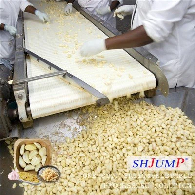 Fokhagyma feldolgozó sor