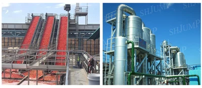 Kulcsrakész megoldás Paradicsompüré koncentrátum készítő sor